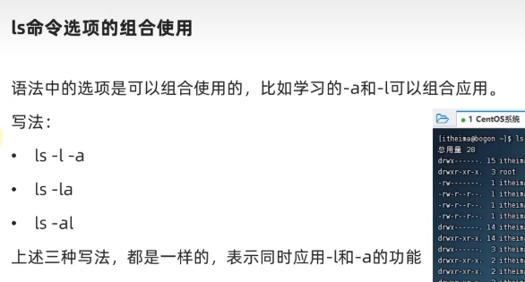 image-20240324213250705