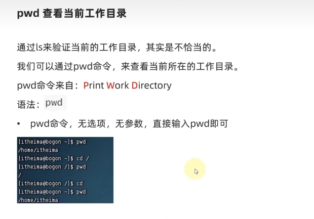 image-20240324213420156