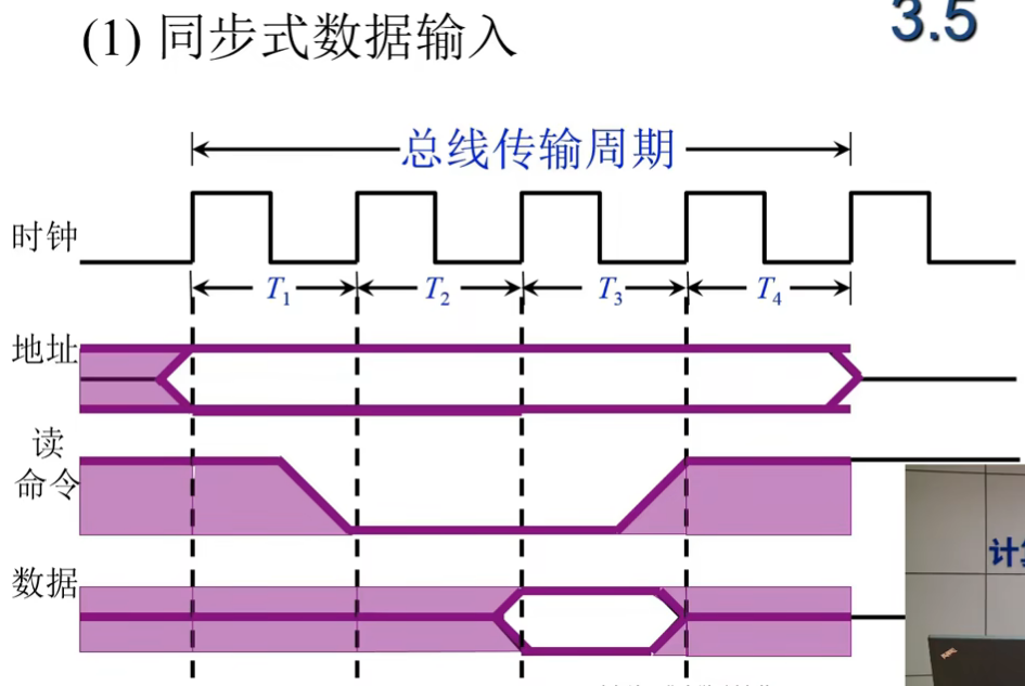 image-20240723195311877