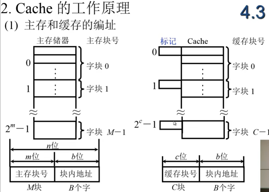 image-20240724185329009