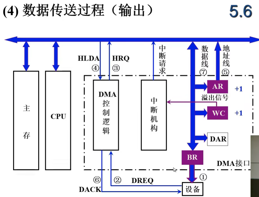 image-20240725195801637