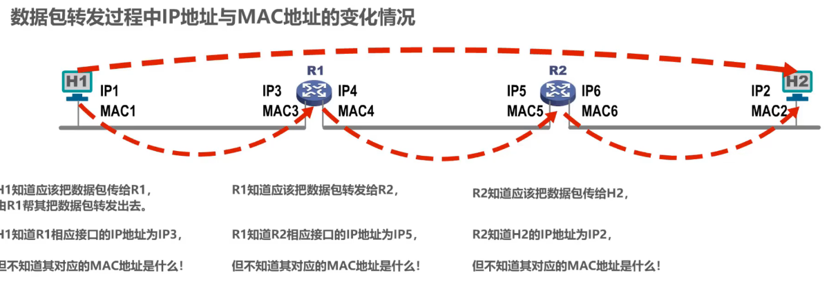 image-20240812152622576