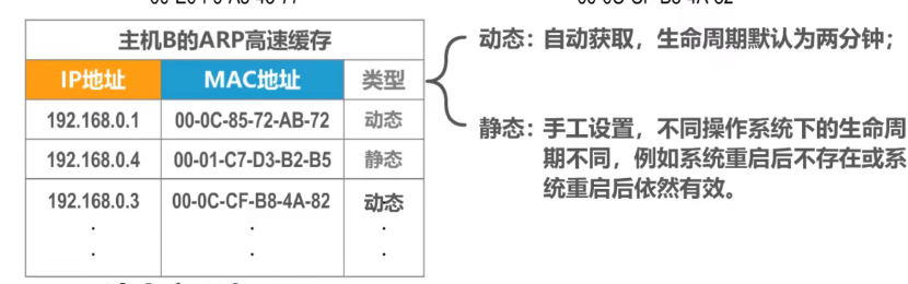 image-20240812153103104