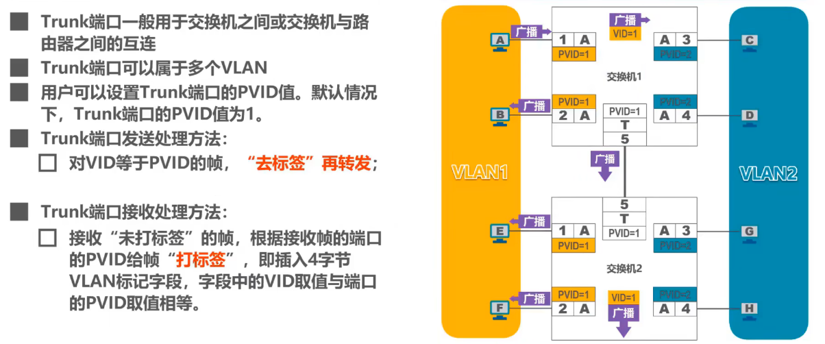 image-20240812172148900