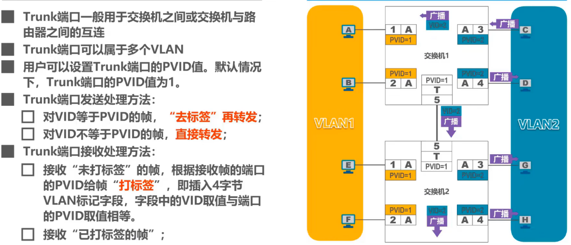 image-20240812172245951