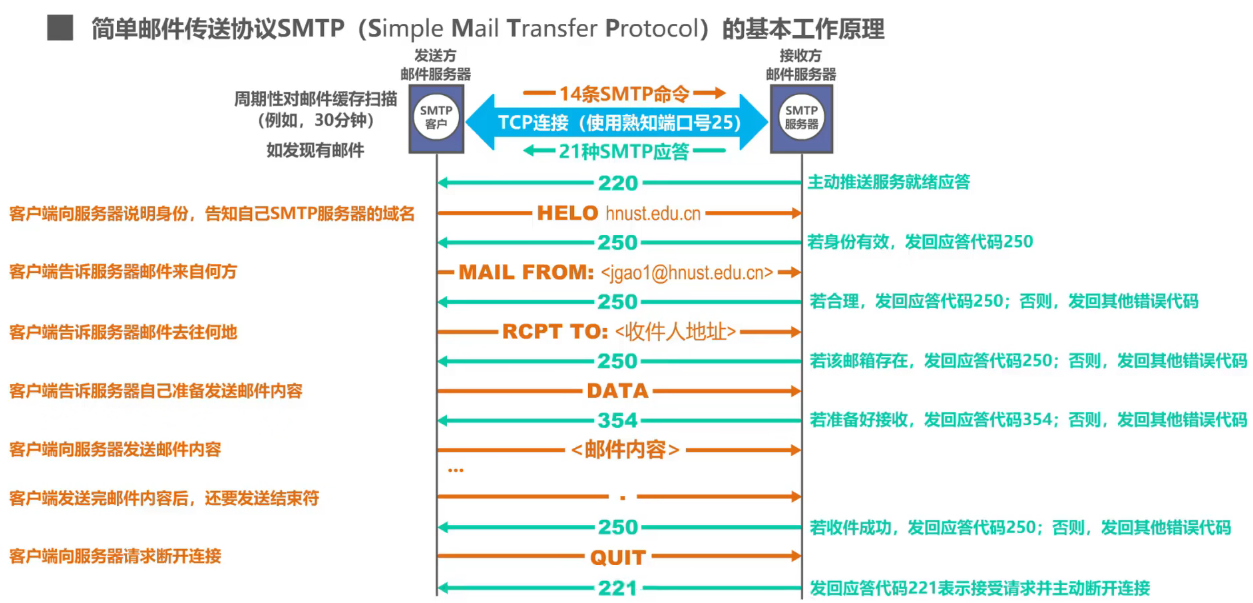 image-20240814160606888