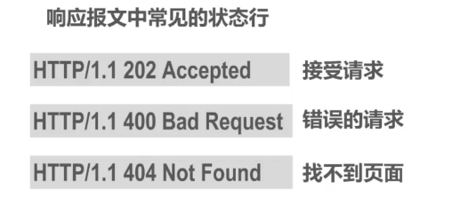 image-20240814162012460