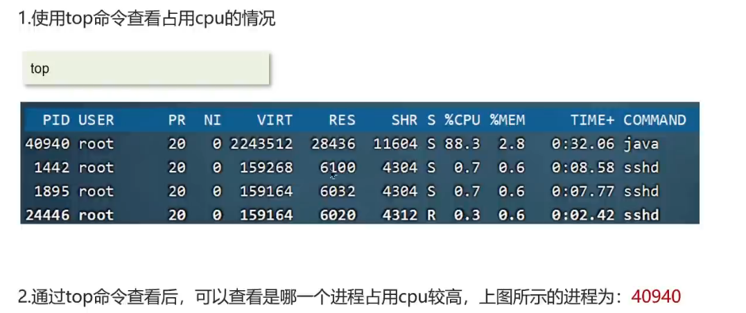 image-20250221161214059