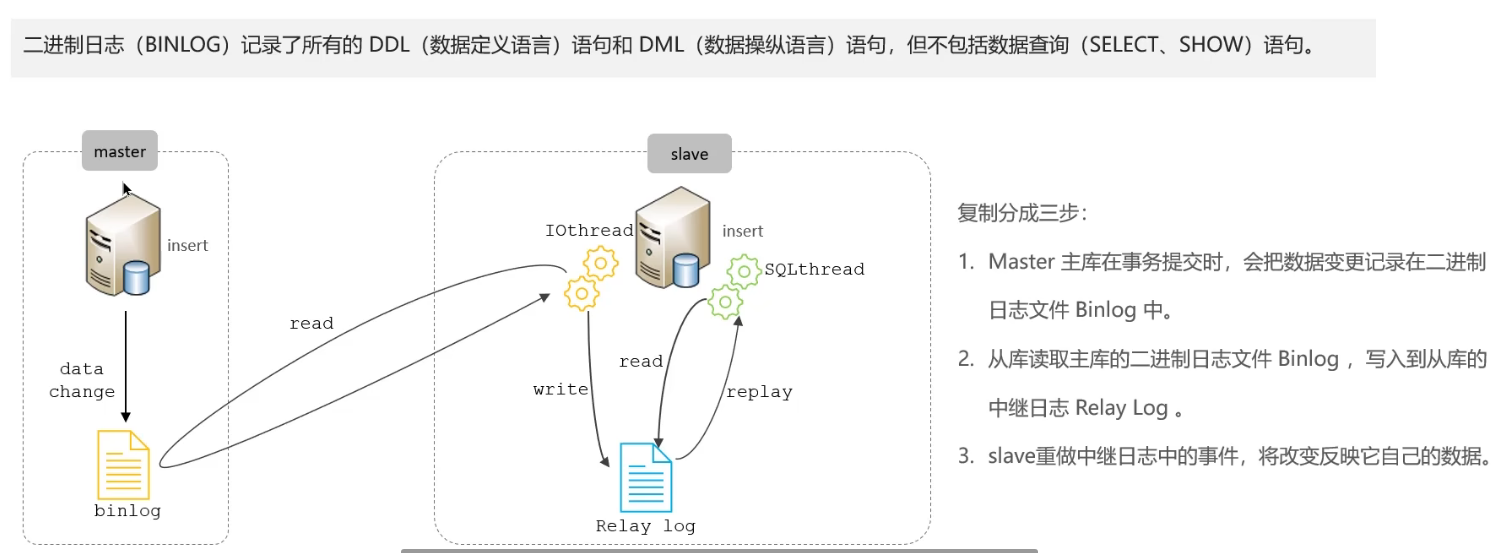 image-20250301230133251