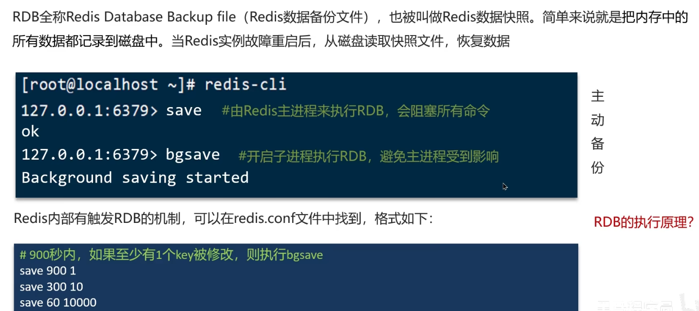 image-20250302172951668