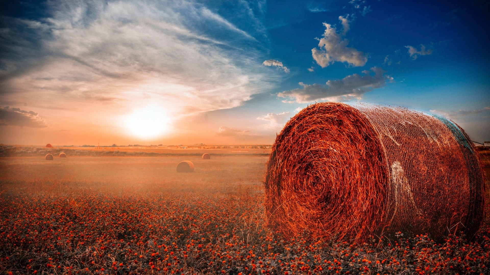 Redis经典面试题